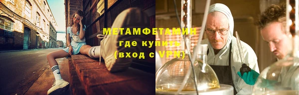 индика Бородино