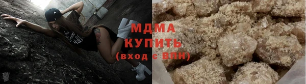 индика Бородино