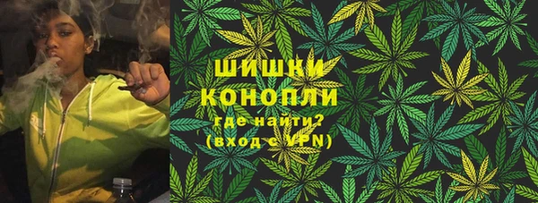 мдпв Богданович