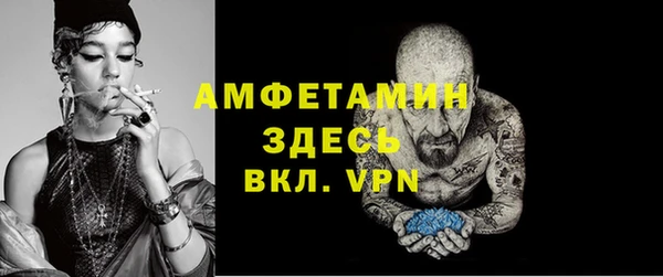 индика Бородино