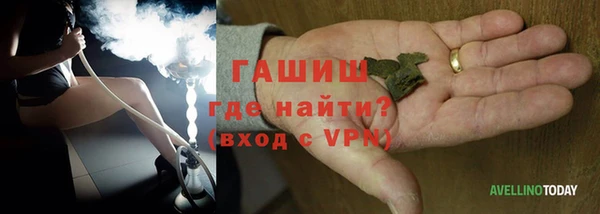 индика Бородино