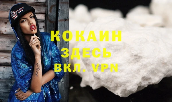 мдпв Богданович