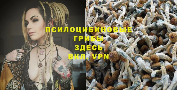 гашик Богородицк