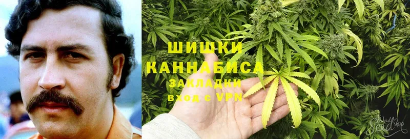 Канабис планчик  где купить наркотик  мега ССЫЛКА  Демидов 